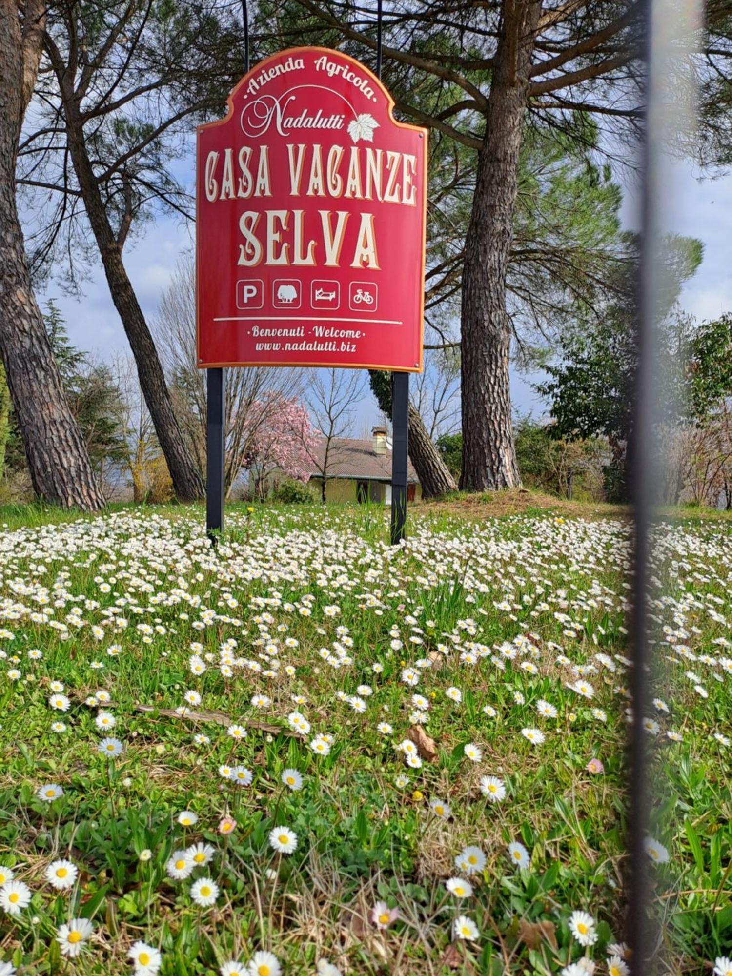 Casa Vacanze Selva Premariacco Εξωτερικό φωτογραφία